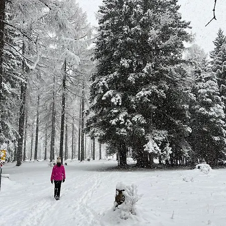 Cad'stampa, * Касачча