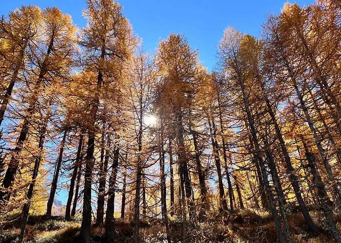 Cad'stampa, فندق مبيت وإفطار Casaccia