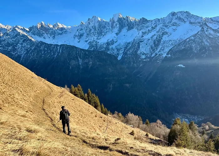 Cad'stampa, * カサッチャ