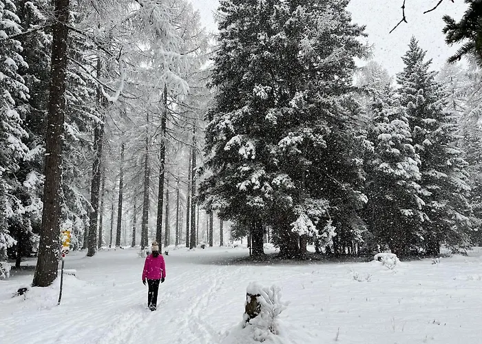 Cad'stampa, * カサッチャ