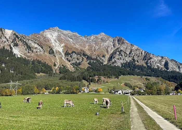 Cad'stampa, Casaccia