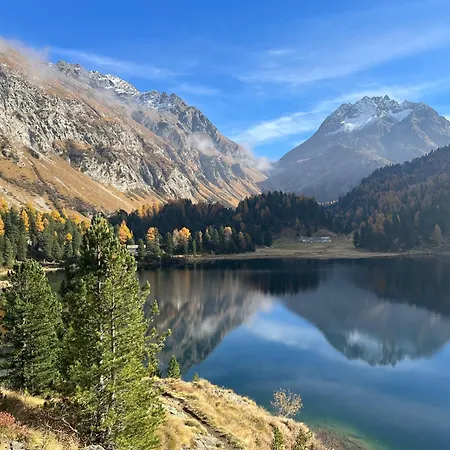 Cad'stampa, * Casaccia